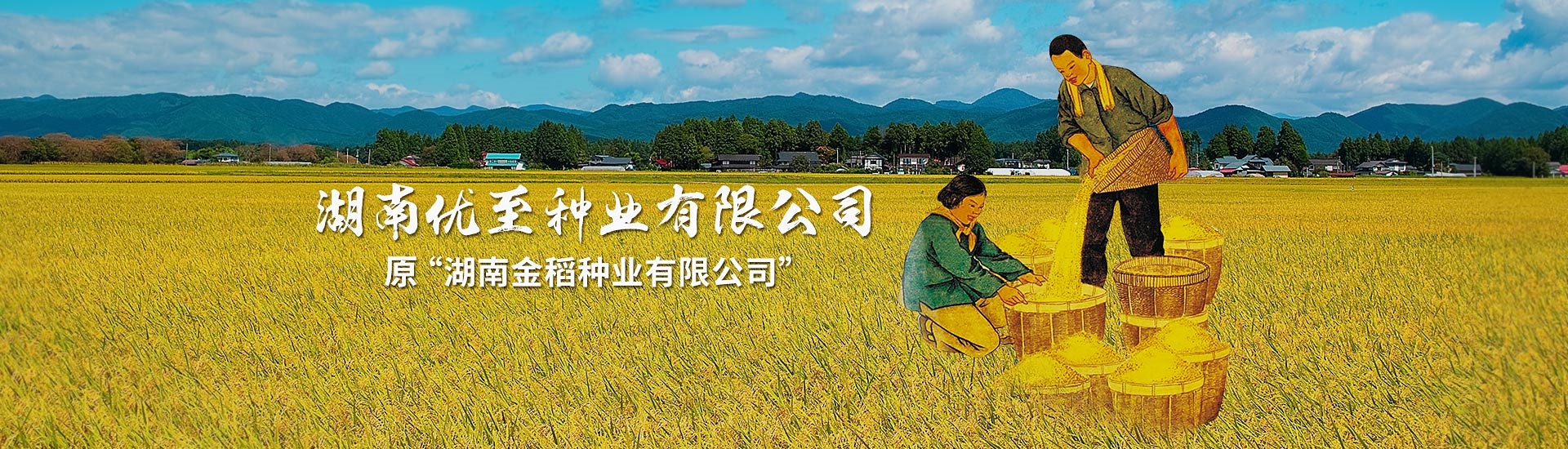 原“湖南金稻种业有限公司”更名为“37000cm威尼斯”